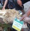 Tebar Qurban Bersama Pesantren HalQi
